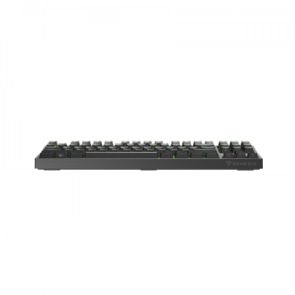 Genesis Mechanical Gaming Keyboard THOR 404 TKL RGB Mechanical Gaming Keyboard Wired US Gateron Yellow Pro USB Type-A 1005 g Genesis Mechanical Gaming Keyboard THOR 404 TKL RGB Mechanical Gaming Keyboard Wired US Gateron Yellow Pro USB Type-A 1005 g