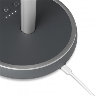 Duux Fan | Rize Flex | Stand Fan | Grey | Diameter 21 cm | Number of speeds 4 | Oscillation | 10 W | No