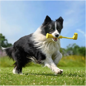 Insta360 | GO 3 Fetch Stick | CINSBBKP