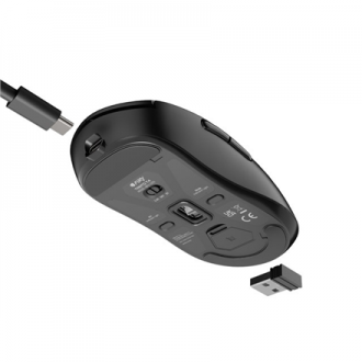 Fury Gaming Mouse | Tanto T4 | Wired/Wireless | 2.4 GHz, Bluetooth, USB | Black Fury Gaming Mouse | Tanto T4 | Wired/Wireless | 2.4 GHz, Bluetooth, USB | Black
