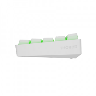 Genesis THOR 660 G2 | Gaming keyboard | Wireless/Wired | US | White | 2.4 GHz, Bluetooth, USB | Linear