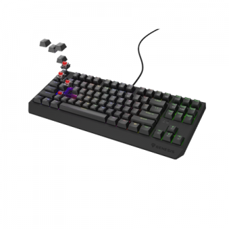 Genesis THOR 230 TKL | Mechanical Gaming Keyboard | Wired | US | Black | USB Type-A | Linear