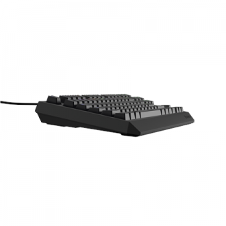 Genesis THOR 230 TKL | Mechanical Gaming Keyboard | Wired | US | Black | USB Type-A | Linear