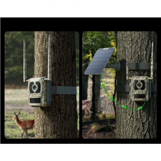 Reolink Camovue Talon S130 4G LTE Trail Camera | Reolink Reolink Camovue Talon S130 4G LTE Trail Camera | Reolink