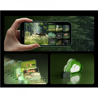 Reolink Camovue Talon S130 4G LTE Trail Camera | Reolink Reolink Camovue Talon S130 4G LTE Trail Camera | Reolink