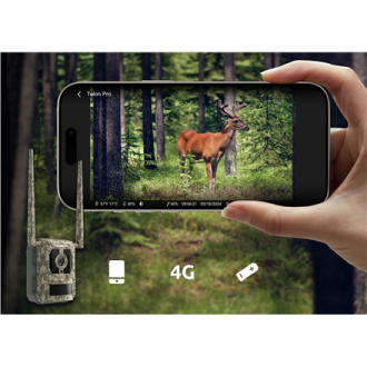 Reolink Camovue Talon S130 4G LTE Trail Camera | Reolink Reolink Camovue Talon S130 4G LTE Trail Camera | Reolink
