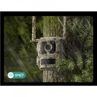Reolink Camovue Talon S130 4G LTE Trail Camera | Reolink Reolink Camovue Talon S130 4G LTE Trail Camera | Reolink