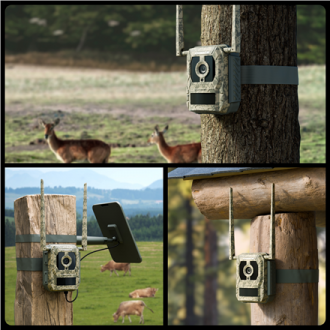 Reolink Camovue Talon S130 4G LTE Trail Camera | Reolink Reolink Camovue Talon S130 4G LTE Trail Camera | Reolink