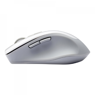 Asus | WT425 | Wireless Optical Mouse | wireless | Pearl, White Asus | WT425 | Wireless Optical Mouse | wireless | Pearl, White