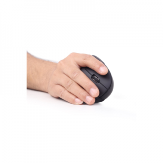 Gembird | MUSW-ERGO-01 | 2.4GHz Wireless Optical Mouse | Optical Mouse | USB | Black Gembird | MUSW-ERGO-01 | 2.4GHz Wireless Optical Mouse | Optical Mouse | USB | Black
