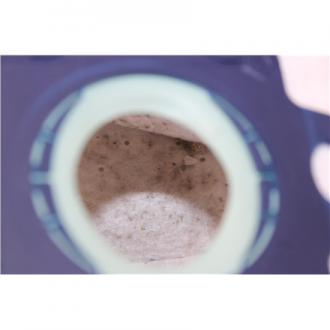 SALE OUT. Philips XD5123/10 Series 5000 Vacuum Cleaner with bag, 900 W, Black | Philips Vacuum Cleaner | XD5123/10 Series 5000 |