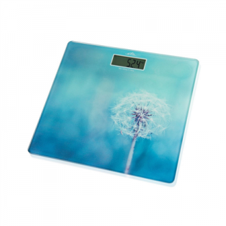 ETA Personal Scales | ETA178090040 Breeze | Maximum weight (capacity) 180 kg | Accuracy 100 g | Blue ETA Personal Scales | ETA178090040 Breeze | Maximum weight (capacity) 180 kg | Accuracy 100 g | Blue