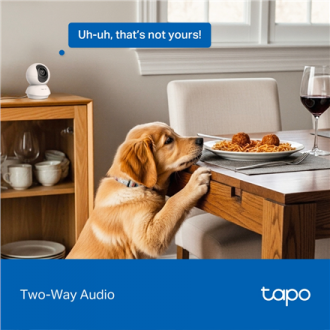 TP-LINK | Tapo C250 | Pan/Tilt AI Home Security Wi-Fi Camera | PTZ | 8 MP | 4mm/F1.6 | H.265 | MicroSD Card up to 512 GB TP-LINK | Tapo C250 | Pan/Tilt AI Home Security Wi-Fi Camera | PTZ | 8 MP | 4mm/F1.6 | H.265 | MicroSD Card up to 512 GB
