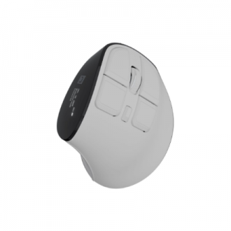 Natec Mouse | Euphonie Pro | Wireless | 2.4 GHz, Bluetooth | White Natec Mouse | Euphonie Pro | Wireless | 2.4 GHz, Bluetooth | White