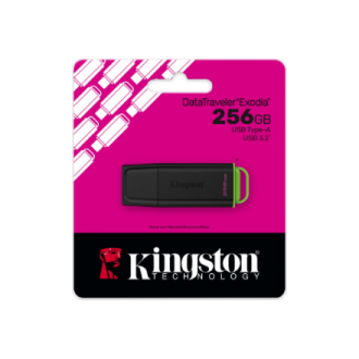 Kingston USB Flash Drive | DataTraveler Exodia | 256 GB | USB Type-A | Black