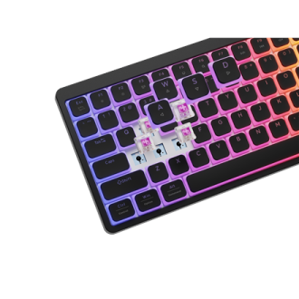 Genesis Thor 430 TKL | Gaming Keyboard | Wired | US | Linear | Black Genesis Thor 430 TKL | Gaming Keyboard | Wired | US | Linear | Black