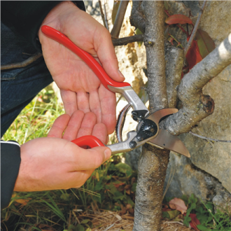 Felco | One-hand pruning shear | FELCO 13 Felco | One-hand pruning shear | FELCO 13