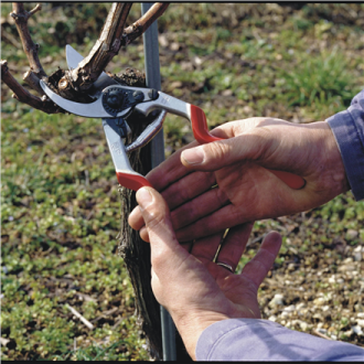 Felco | One-hand pruning shear | FELCO 13 Felco | One-hand pruning shear | FELCO 13