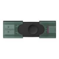 Kingston USB Flash Drive | DataTraveler Duo | 256 GB | USB Type-C/Type-A | Black/Green Kingston USB Flash Drive | DataTraveler Duo | 256 GB | USB Type-C/Type-A | Black/Green