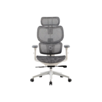 Onex Ventra Premium Mesh | Gaming Office Chair | White