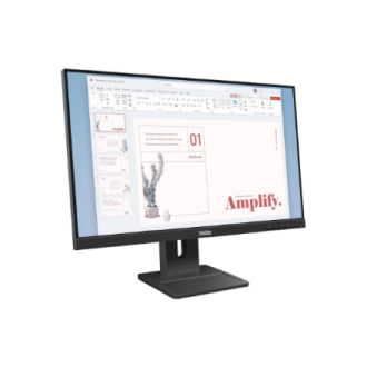 Lenovo | ThinkVision E24-40 | 23.8 