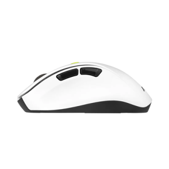 Asus Mouse | MD105 | Wireless | Bluetooth, 2.4GHz | Volt Green Asus Mouse | MD105 | Wireless | Bluetooth, 2.4GHz | Volt Green
