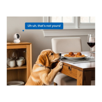 TP-LINK | Tapo C250 | Pan/Tilt AI Home Security Wi-Fi Camera | PTZ | 8 MP | 4mm/F1.6 | H.265 | MicroSD Card up to 512 GB TP-LINK | Tapo C250 | Pan/Tilt AI Home Security Wi-Fi Camera | PTZ | 8 MP | 4mm/F1.6 | H.265 | MicroSD Card up to 512 GB