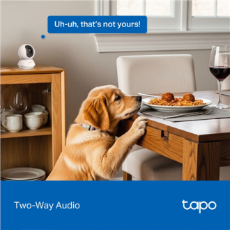 TP-LINK | Tapo C250 | Pan/Tilt AI Home Security Wi-Fi Camera | PTZ | 8 MP | 4mm/F1.6 | H.265 | MicroSD Card up to 512 GB TP-LINK | Tapo C250 | Pan/Tilt AI Home Security Wi-Fi Camera | PTZ | 8 MP | 4mm/F1.6 | H.265 | MicroSD Card up to 512 GB