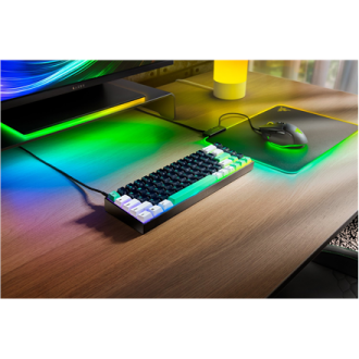 Razer | Reclusa X Mini 65% | Mechanical Gaming Keyboard | Wired | US | Razer Mechanical Switches Gen-3 (Tactile) | Black Razer | Reclusa X Mini 65% | Mechanical Gaming Keyboard | Wired | US | Razer Mechanical Switches Gen-3 (Tactile) | Black