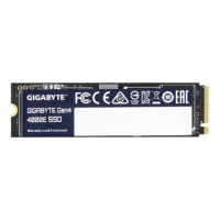 GIGABYTE SSD G440E250G M2 250GB | Gigabyte GIGABYTE SSD G440E250G M2 250GB | Gigabyte