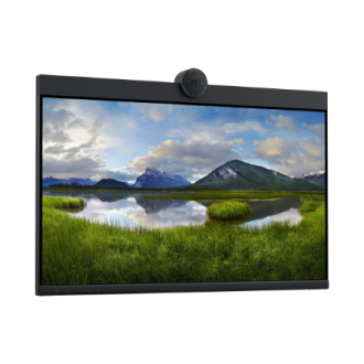 Dell | Monitor | P2424HEB | 24 