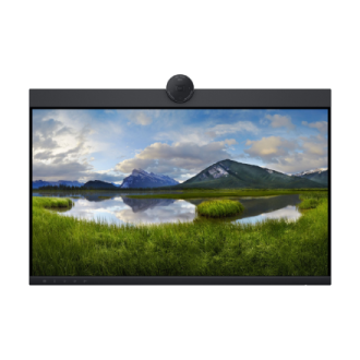Dell | Monitor | P2424HEB | 24 