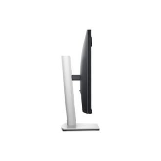 Dell | Monitor | P2424HEB | 24 