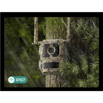 Reolink | 4K 4G Cellular Trail Camera with Live Streaming | Talon Series S130 | Trail | 8 MP | 4mm/F1.6 | IP67 | H.265 | MicroSD Reolink | 4K 4G Cellular Trail Camera with Live Streaming | Talon Series S130 | Trail | 8 MP | 4mm/F1.6 | IP67 | H.265 | MicroSD
