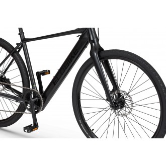 Elektrijalgratas Ecobike Urban Plus 10 + 7 Ah 601Wh