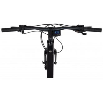 Elektrijalgratas Ecobike Urban Plus 10 + 7 Ah 601Wh
