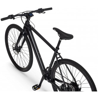 Elektrijalgratas Ecobike Urban Plus 10 + 7 Ah 601Wh