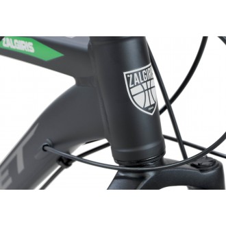 Jalgratas Romet ŽALGIRIS R6 black-green-20 Jalgratas Romet ŽALGIRIS R6 black-green-20